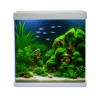 wholesale aquariums