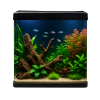 aquatic wholesale