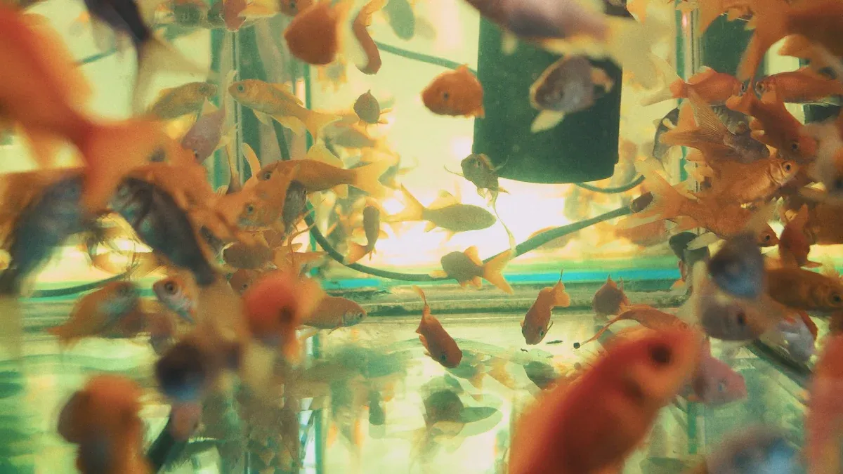 How China Became a Leader in Marine Aquarium Wholesale Manufacturing 2025