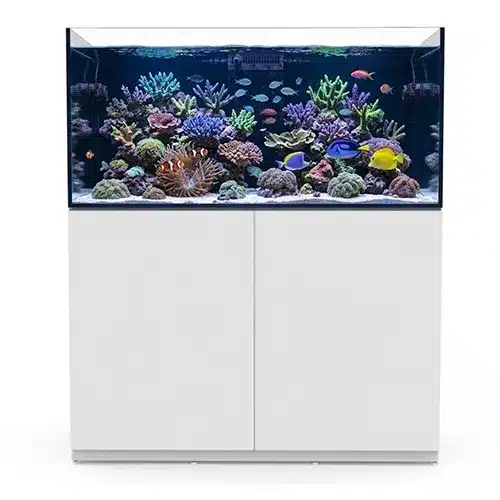 Wholesale 120cm ultra-clear glass marine aquarium with large double-door white cabinet, professionally designed for reef coral and saltwater fish displays.