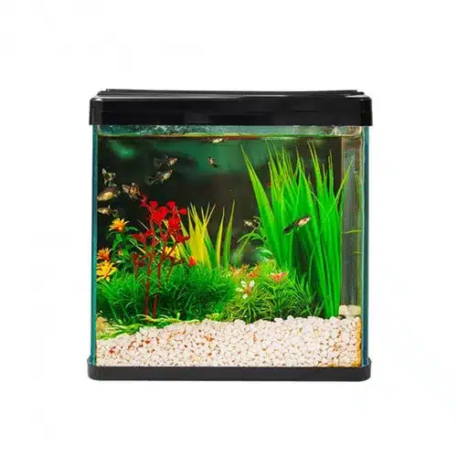Front view of a 30cm rectangular glass fish tank with a black top lid and base, 22L volume, decorated with green aquatic plants and gravel.Bulk supply desktop aquarium