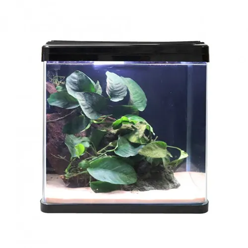 38cm Professional Glass Aquarium - 37L Desktop Series