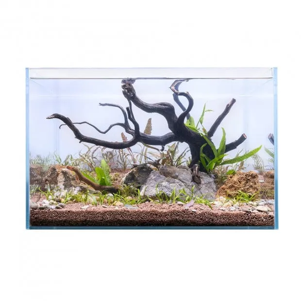 Front view of a 50cm rimless ultra-clear glass aquarium with 40L capacity, featuring an artistic dark driftwood center-piece, rocks, and aquatic plants on reddish-brown soil.