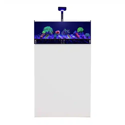 60cm rimless glass coral reef tank with 75L capacity, featuring a modern white aquarium cabinet and LED lighting system, professional reef ready setup.