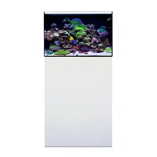 Complete 120L marine aquarium setup including 60cm rimless glass tank, advanced sump filtration system, and minimalist white wooden cabinet.