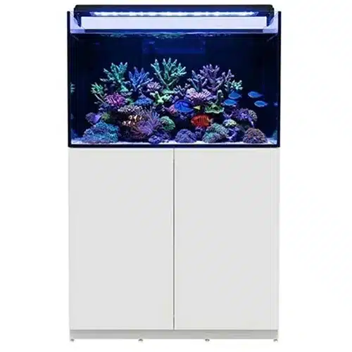 90cm OEM ultra-clear glass reef tank with 180L capacity, featuring a minimalist white double-door cabinet and professional marine lighting system.