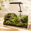 Wholesale reptile enclosure acrylic terrarium 30 x 20 x 15cm with LED light FS-AT-L03